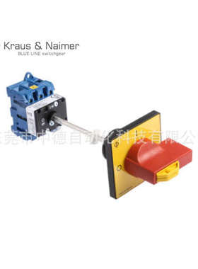 KG20BT203/GBA282 VE Kraus & Naimer蓝系列原装进口开关