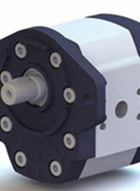 法国HPI阀齿轮泵，马达油泵：P3AAN0075FL20B01NC5082379，水泵