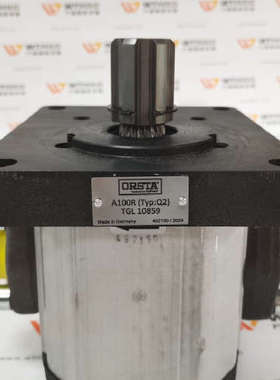 德国ORSTA齿轮泵TGL 10859 A100R原装正品供应