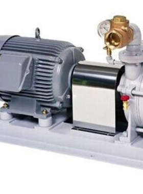 日本KASHIYAMA 樫山工業 真空泵 LEM40MA-4/LEM40MA需询价！磁力