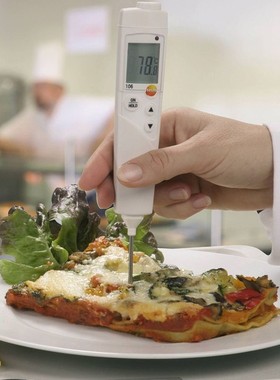 德图testo106/104IR温度计探针式食品高精度烘焙水油冷冻厨房