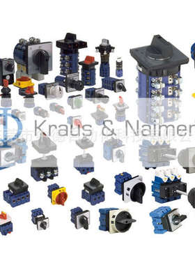 CA10 A200-620 E A201 A202 A203 Kraus & Naimer开关