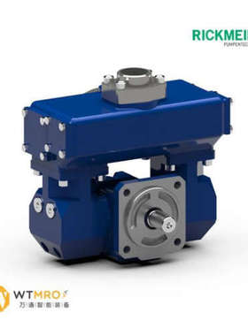 德国Rickmeier 齿轮泵 R25/6.3 FL-Z-W-G3/4-R 现货