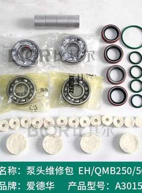 EDWARDS爱德华QMB250/500真空泵维修包/密封件A30151820现货销售
