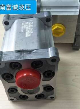 萨澳111.25.098.0A SNP3NN/038LN01DAP1CAC7NNNN丹佛斯液压齿轮泵