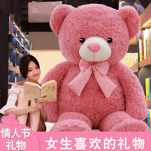 大熊毛绒玩具公仔布号超