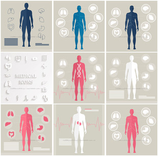 A1046矢量AI设计素材人体内脏器官扁平化图标心跳DNA可视化信息图