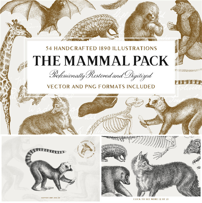 A0273矢量AI设计素材 54张复古版画风格动物插画线稿图+png格式