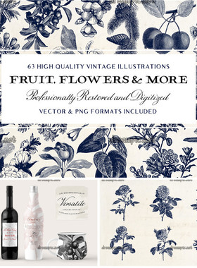 [771]AI矢量设计素材 63个复古欧洲植物花草果实插画印花包装+png