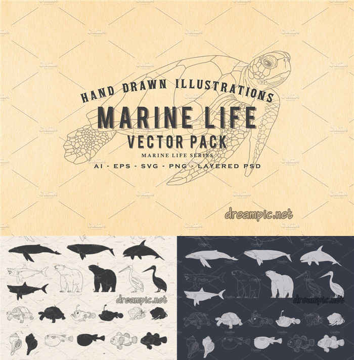 A0226矢量AI设计素材 手绘海洋动物生物线稿插画logo鲸鱼海龟+png