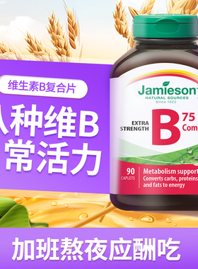 Jamieson健美生进口维生素b族肌醇胆碱复合b族熬夜补充vb营养活力