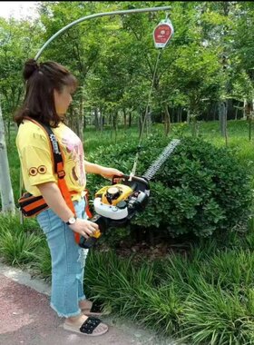 绿篱机专用背架象鼻式多功能减重双肩背带架托雷斯特