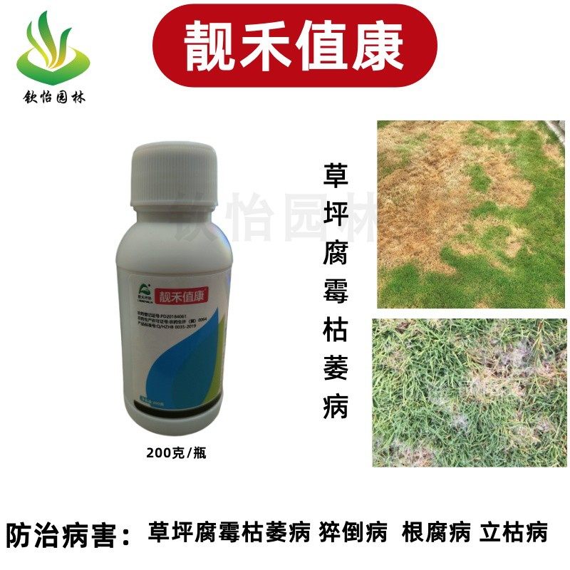靓禾值康破千均杀菌剂草坪腐霉枯萎病猝倒病褐斑根腐白粉园林上新