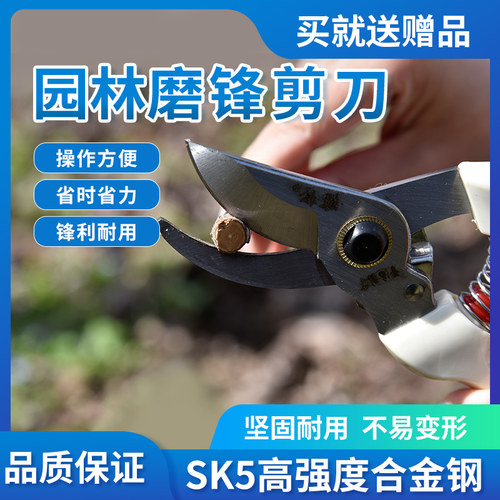 绿松修枝剪刀锋利耐用修枝剪