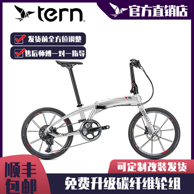 tern燕鸥x11折叠车竞速