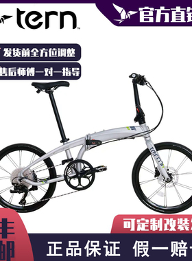 TERN燕鸥P10 Verge P10折叠自行车铝合金海豚451竞速折叠车20寸