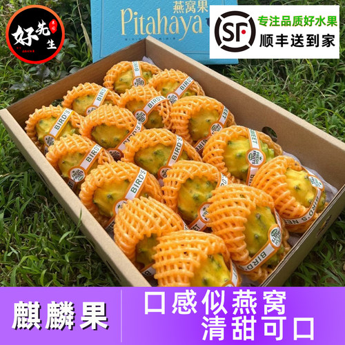 精品水果燕窝果好先生珍贵水果