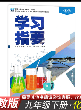 学习指要化学九年级下册人教版9年级下册版初中同步训练辅导练习册9九年级下册重庆出版社正版2021春新版重庆市专用教辅书籍