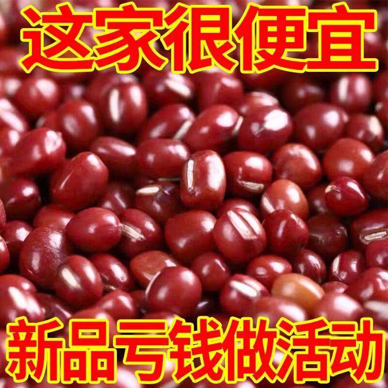 【冲量】2025新红豆大粒饱满红豆薏米粥豆浆豆沙馅料批发五谷杂粮