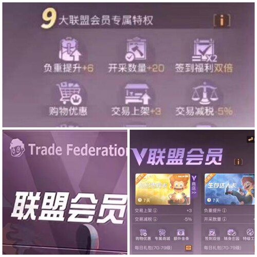 明日之后月卡经典服全服可发明日之后月卡（带300太阳）联盟会员