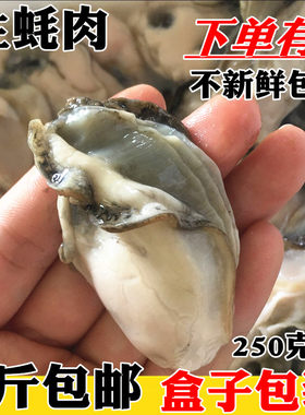 新鲜海蛎子肉活剥生蚝肉鲜活上岸活剥牡蛎肉去壳海鲜包邮顺丰