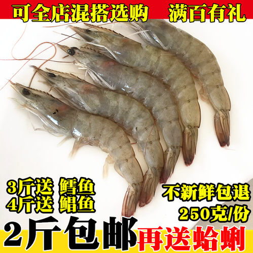 对虾新鲜基围野生大海水产品