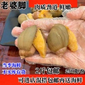老婆脚新鲜冷冻鲍螺鲜活速冻假鲍鱼黏螺珍珠鲍贝类海鲜水产