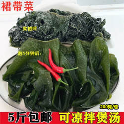 裙带菜小叶海带新鲜海白菜裙边菜海裙菜海藻菜凉拌小菜连云港海鲜