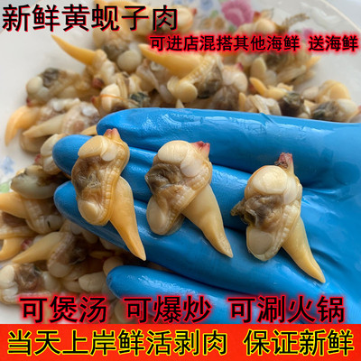 黄蚬子肉新鲜花甲肉黄蛤蜊无冰衣蛤蜊肉无沙连云港海鲜10包包邮