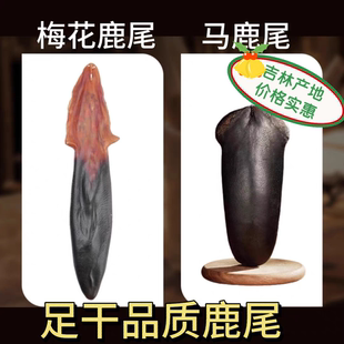 鹿乡吉林梅花鹿鹿尾巴干马鹿鹿尾男性鹿尾精泡酒煲汤饱满鲜厚养生