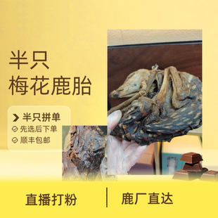 梅花鹿鹿胎鹿胎粉整个吉林鹿胎盘鹿膏滋补女性子宫月经