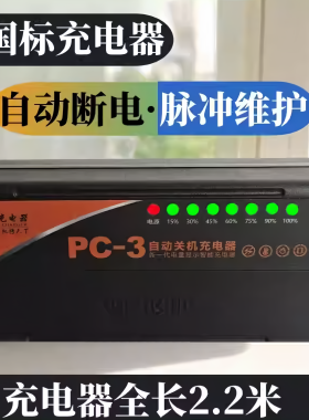 新国标电动车充电器60v20ah48v72伏32ah38ah安铅酸电瓶车通用