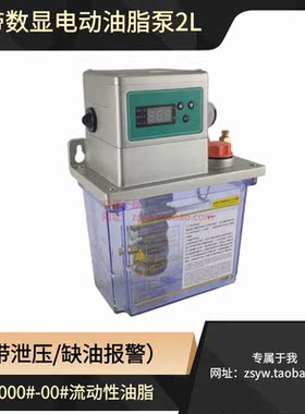 全自动带卸压液位电动油脂润滑泵北京精雕机220V黄油泵DFSW2.0S