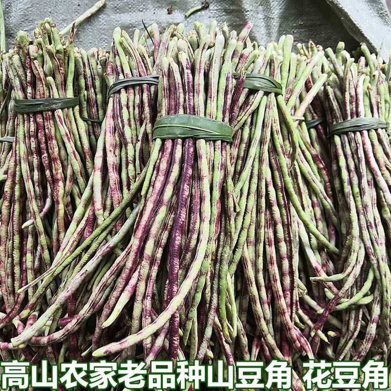 农村自种八月山豆角花豆角