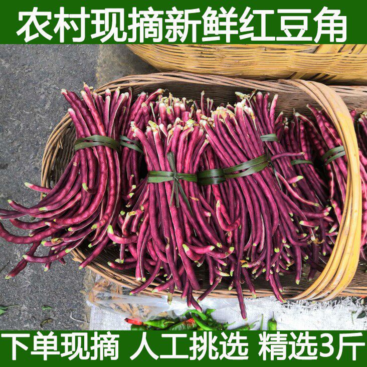 农家自种秋豆角红豆角缸豆紫豆
