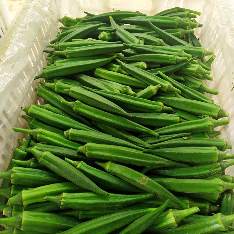 露天秋葵湖北农家自种原产地直发