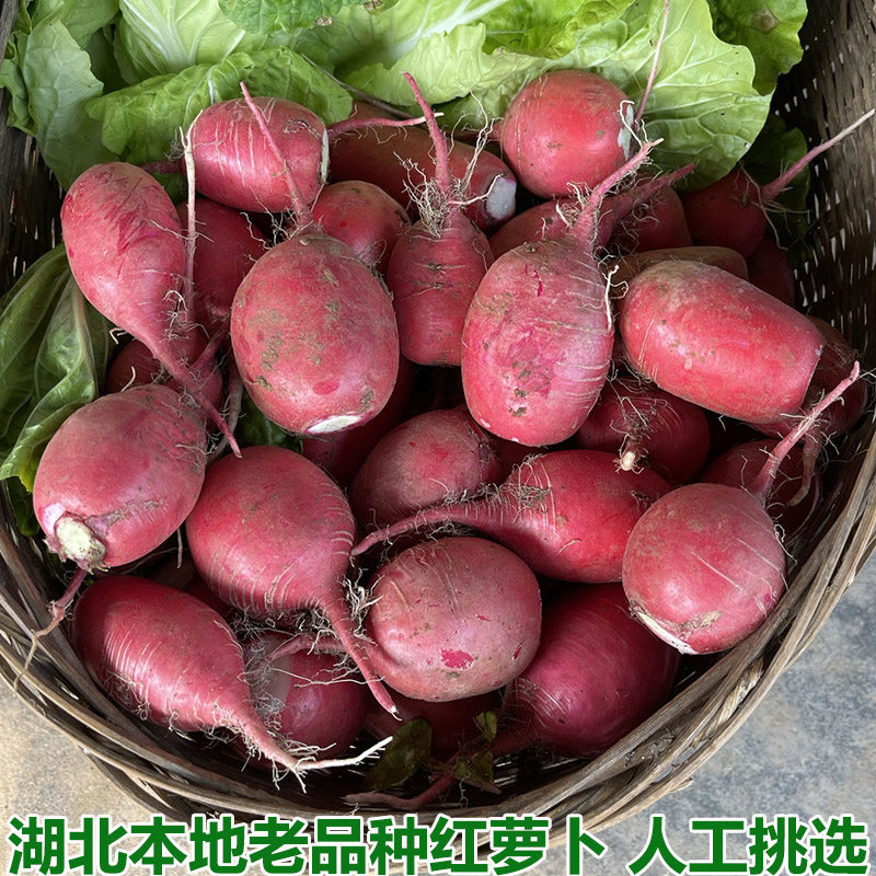 湖北老品种红萝卜本地红皮萝卜红皮白心水萝卜泡菜原料胭脂萝卜
