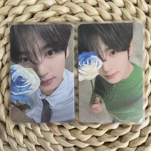 ZB1 韩维辰三期会员礼小卡 ver 昼 Ricky玫瑰花 专辑周边卡