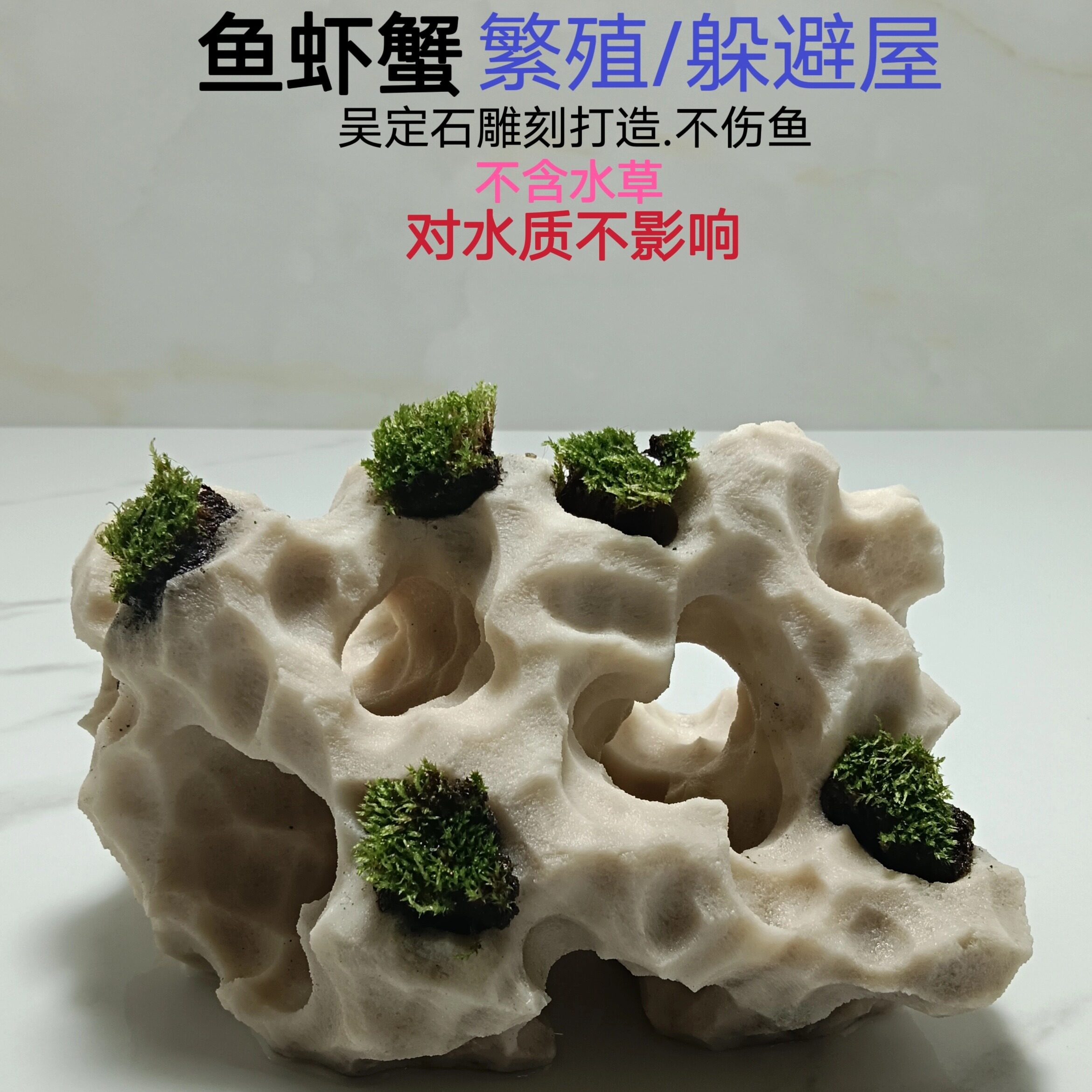 鱼虾蟹鱼缸躲避屋造景水草莫斯水陆缸躲避罐水杨梅天然石头不伤鱼,鲜花速递/花卉仿真/绿植园艺,花架,淘宝优惠券,粉丝福利购,淘宝优惠卷