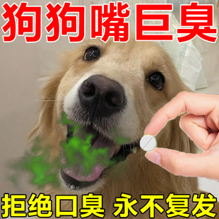 狗狗口腔除臭清洁嘴巴口臭怎么办去除牙结石清新口气去异味零食片