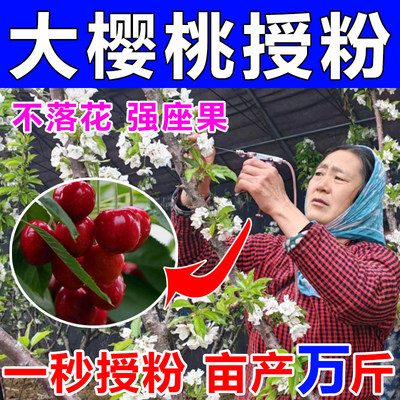 【200%授粉成功】大樱桃授粉药