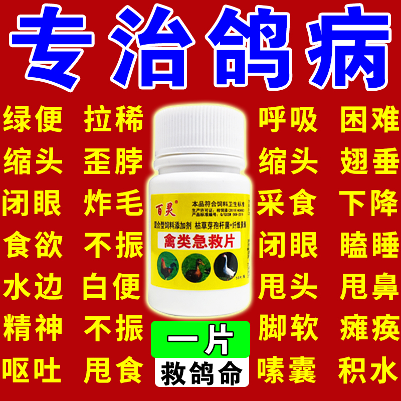 【当天见效】一片就好急救鸽命