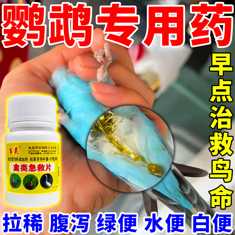 鹦鹉拉稀特效药！一片救鸟命！