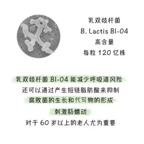 Пробиотики пожилых людей пожилой пробиотики для пожилых людей 60+ взрослых для регулирования желудочно -кишечного иммунитета Маленький магазин Австралия Австралия
