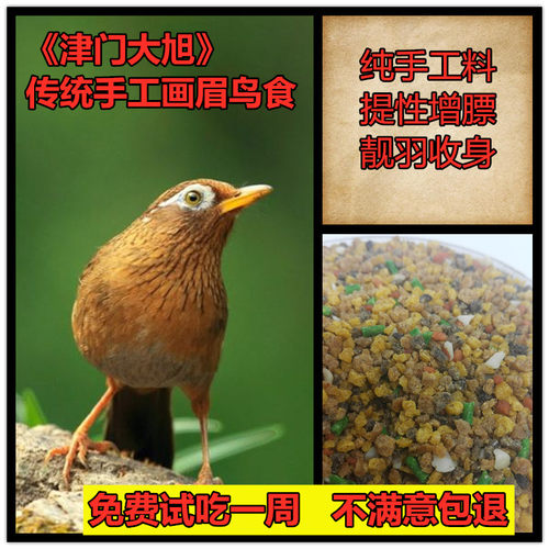 画眉鸟饲料鸟食增膘提性收身唱鸟打鸟比赛专用食八哥鹩哥营养鸟食 - 封面