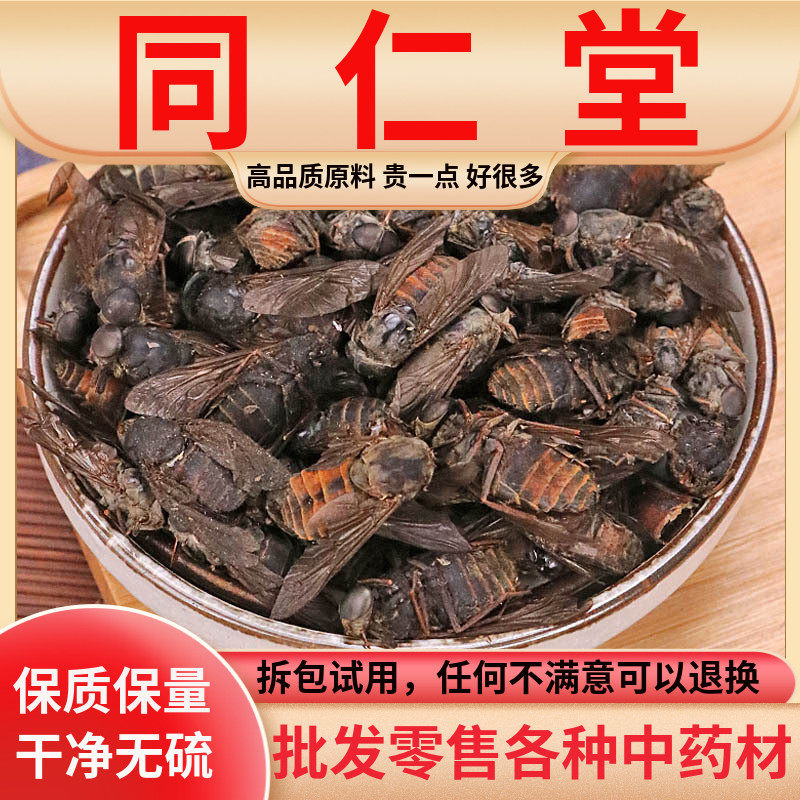 牛虻虫中药材10g克大个牛苍蝇牛氓虫牛蚊子牤虫药用同仁堂抵挡汤