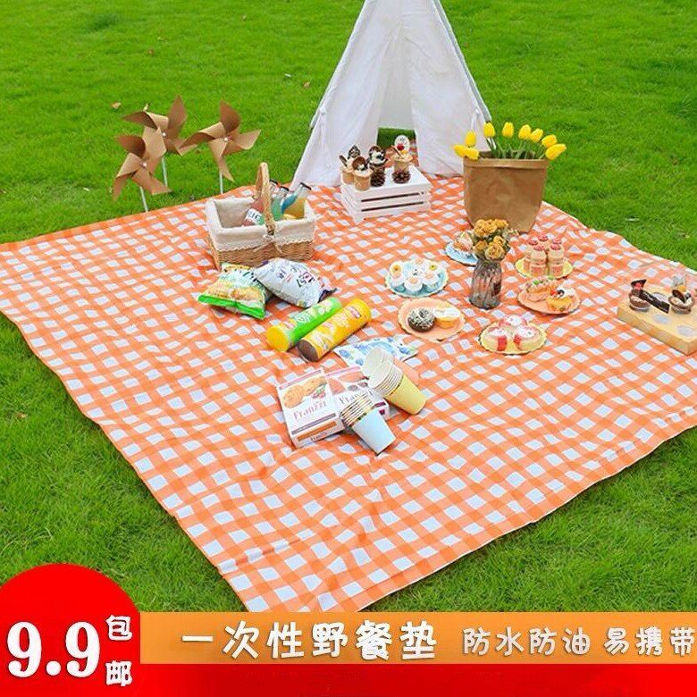 春游郊游一次性塑料野餐桌布