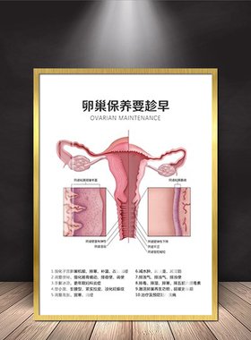 美容院装饰画医美私密房间墙面挂画妇科产后护理卵巢保养广告壁画