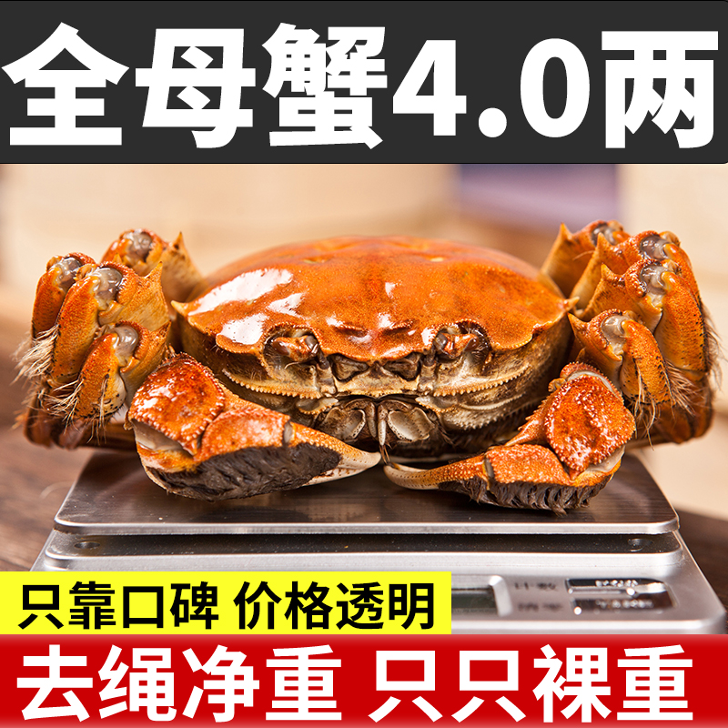大闸蟹只只裸重顺丰包邮