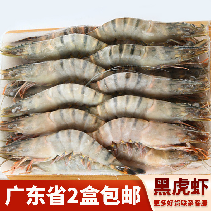 黑虎虾新鲜泰国越南活冻大虾老虎斑节虾九节虾海鲜寿司料理食材